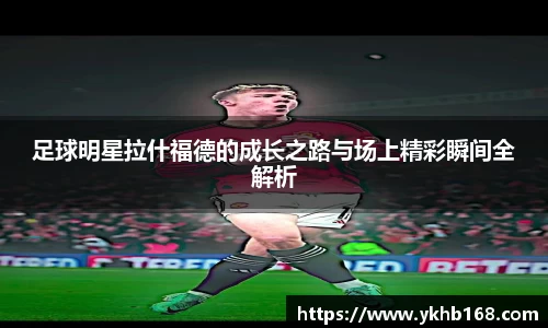必一运动bsport体育